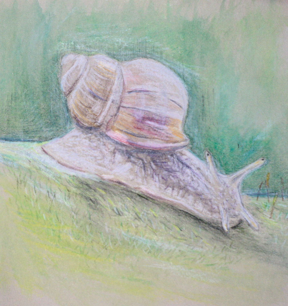 Escargot